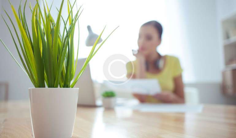 Lower Maintenance Costs